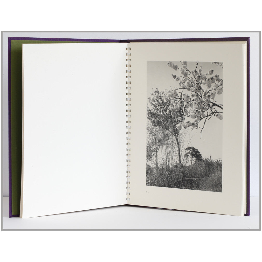 Flowers and Trees by Lee Friedlander