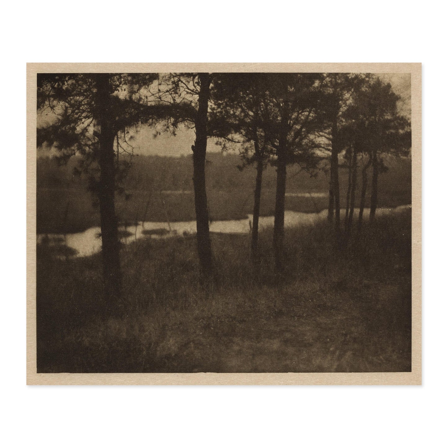 C Yarnall Abbott, Sentinals 1909