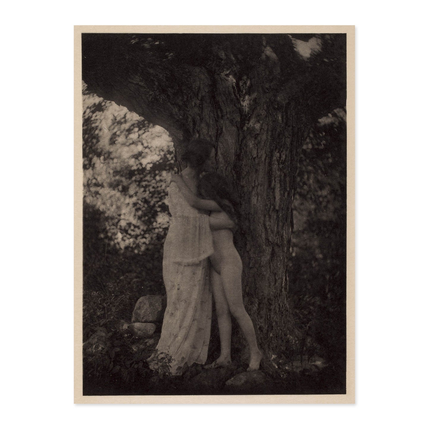 Alice Boughton, Nature 1909
