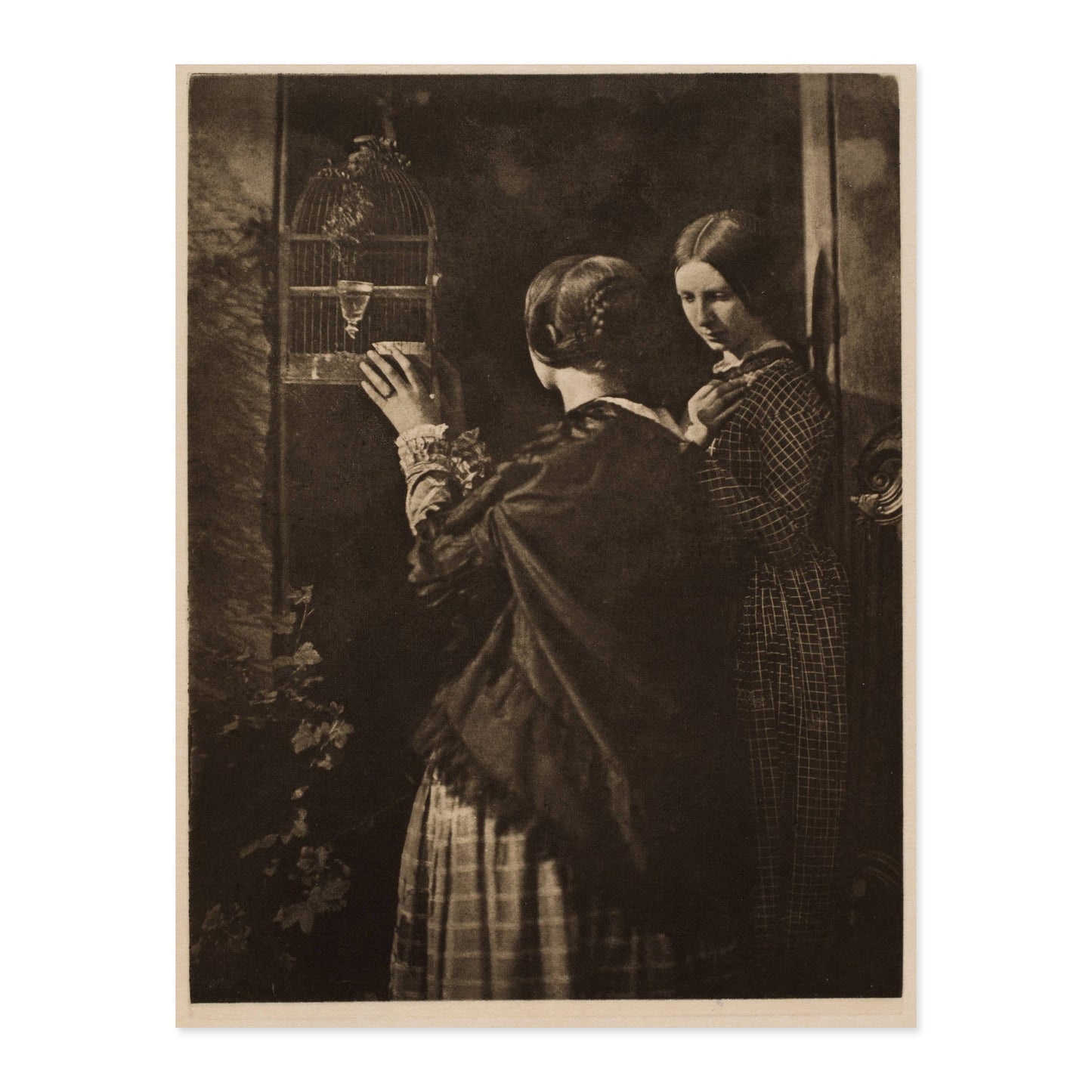 David Octavius Hill and Robert Adamson, The Birdcage 1890