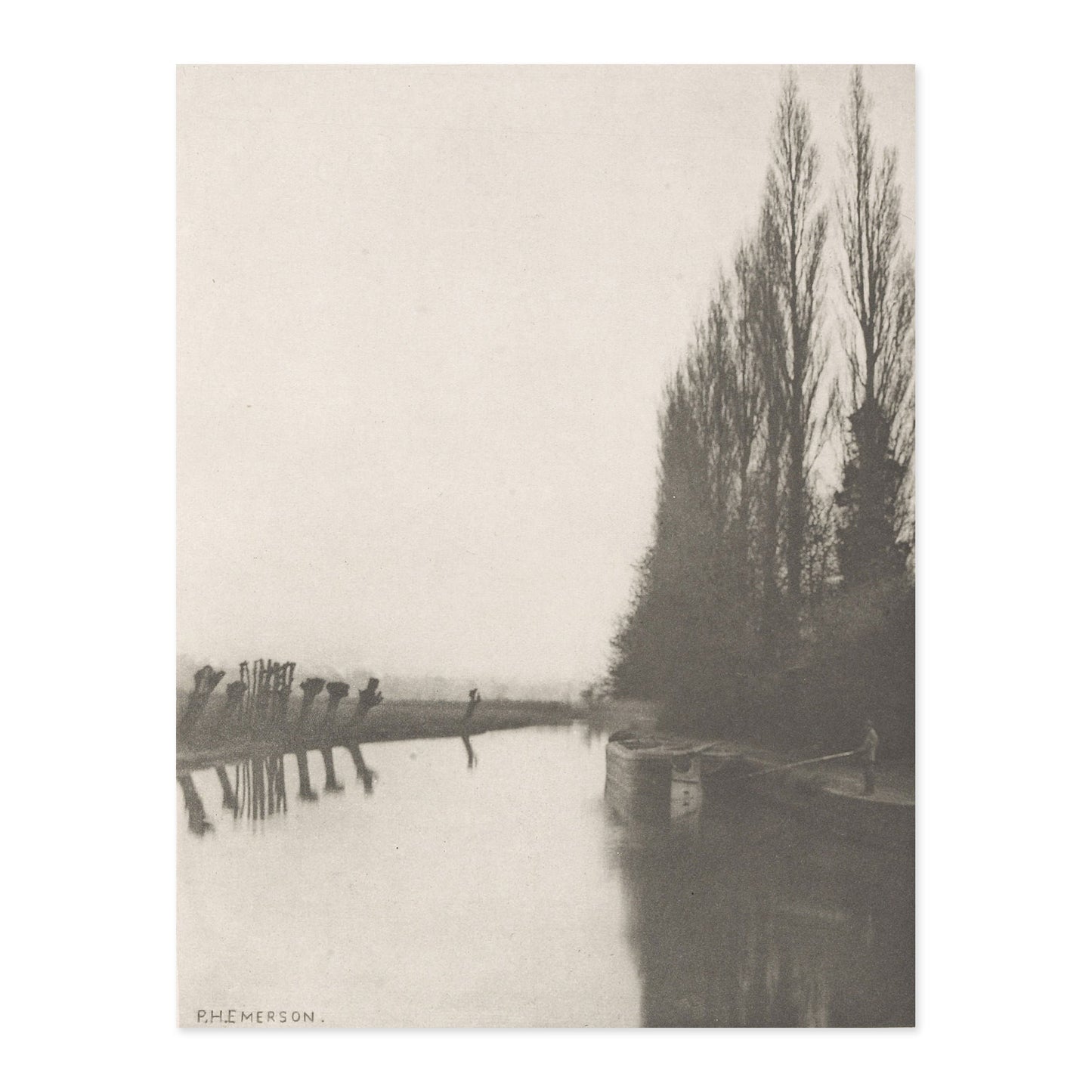 Peter Henry Emerson, Plate XIX Poplars and Pollards on the Lea, Near Broxbourne 1888