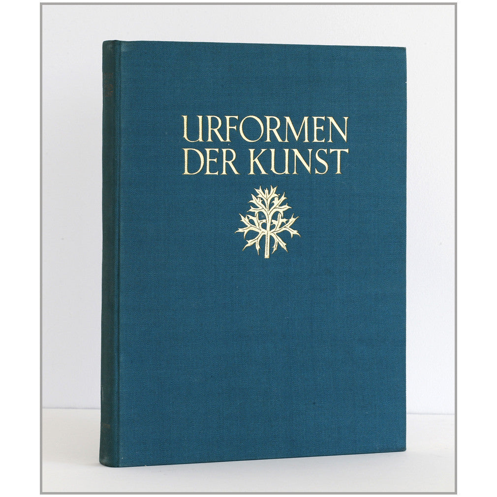 Urformen Der Kunst by Karl Blossfeldt 1929