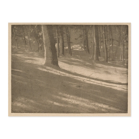 Alvin Langdon Coburn, Winter Shadows 1903