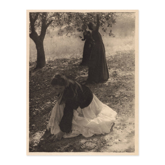 Clarence H White, The Orchard 1905