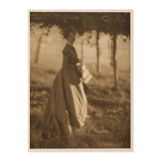 Clarence H White, The Arbor 1908