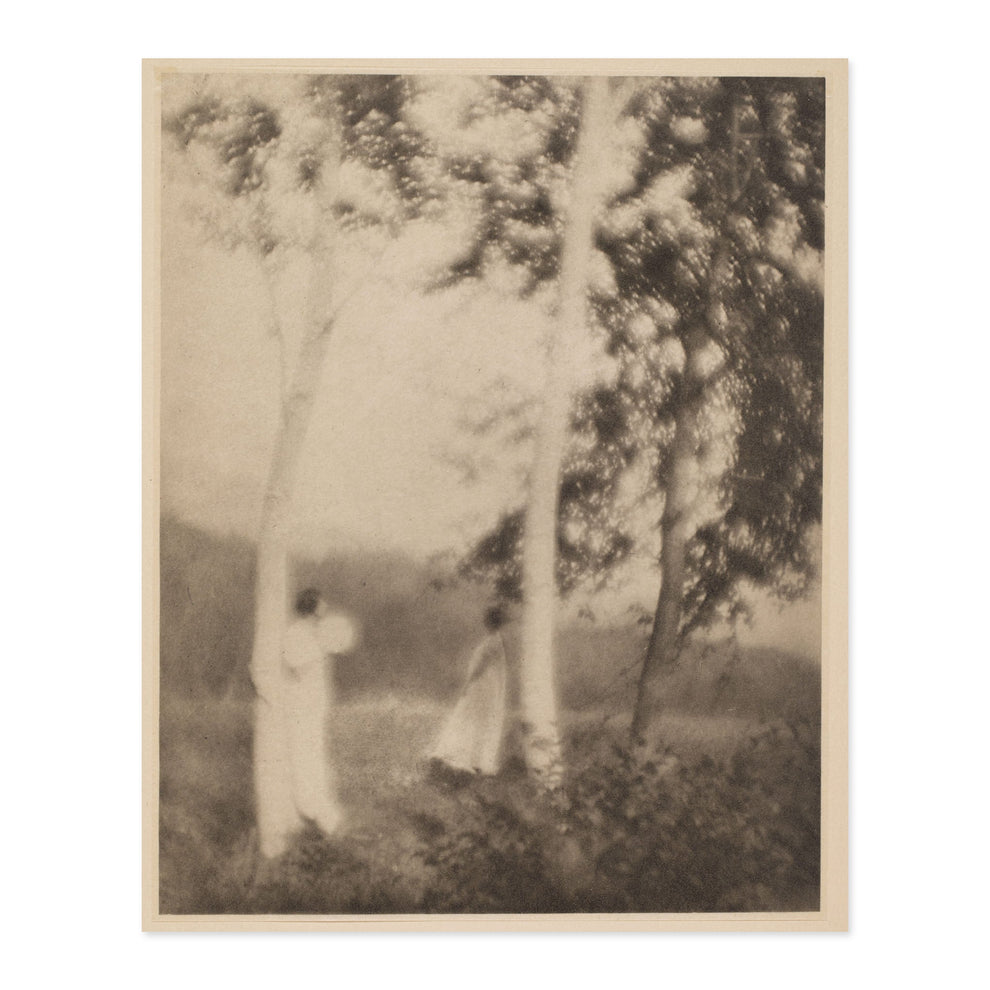 George Seeley, White Trees 1910 – Photogravure Gallery