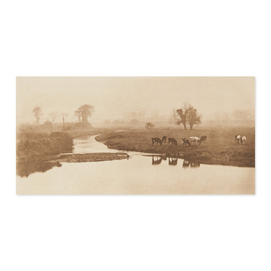 Peter Henry Emerson, Sheep on the Marshes 1893